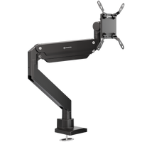 Desk Mount for Monitor 17