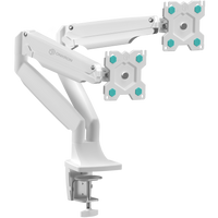 Desk Mount for Two Monitors 13