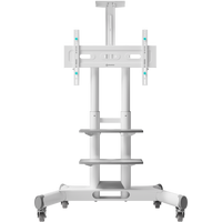 Mobile TV stand for TVs and professional displays 40